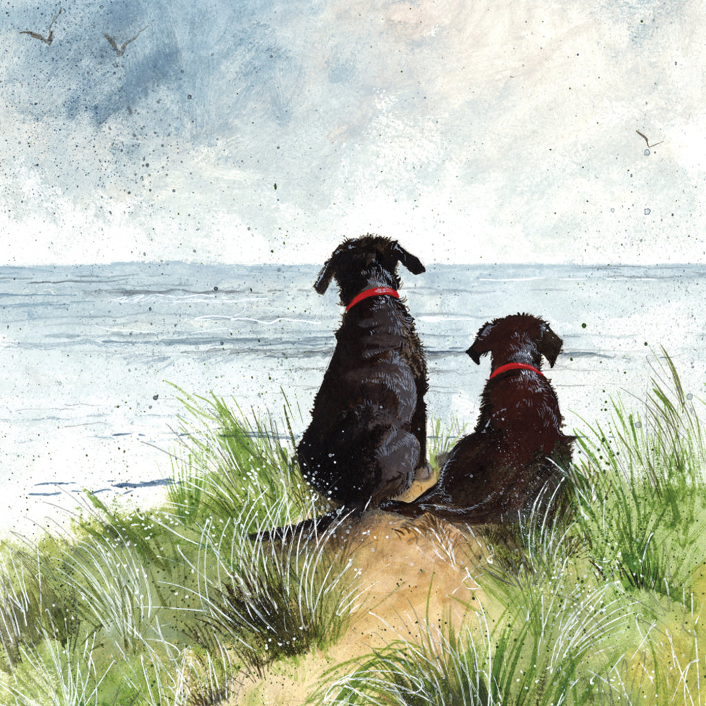 ALEX CLARK DUNES COASTER C146 | 262353