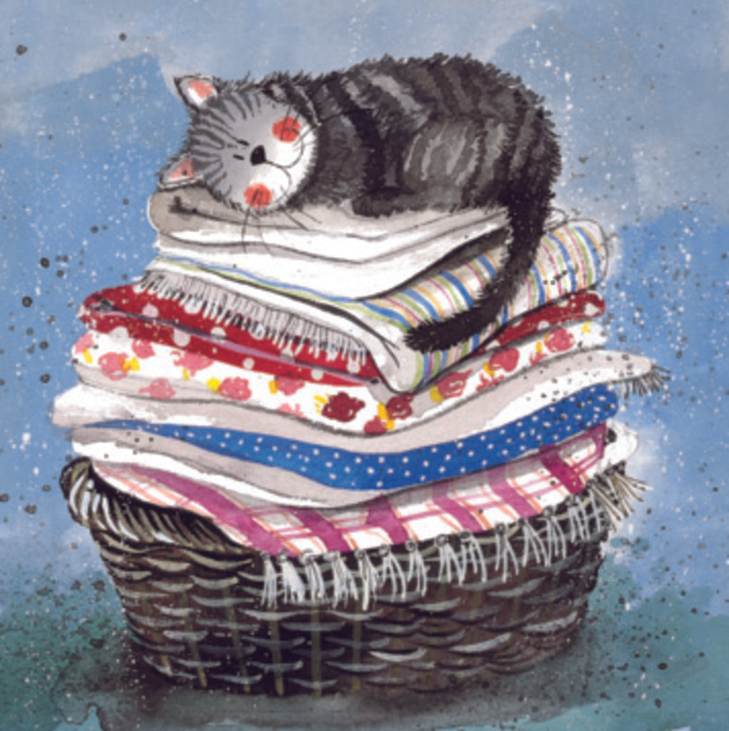 ALEX CLARK LAUNDRY BASKET COASTER C17 | 262385