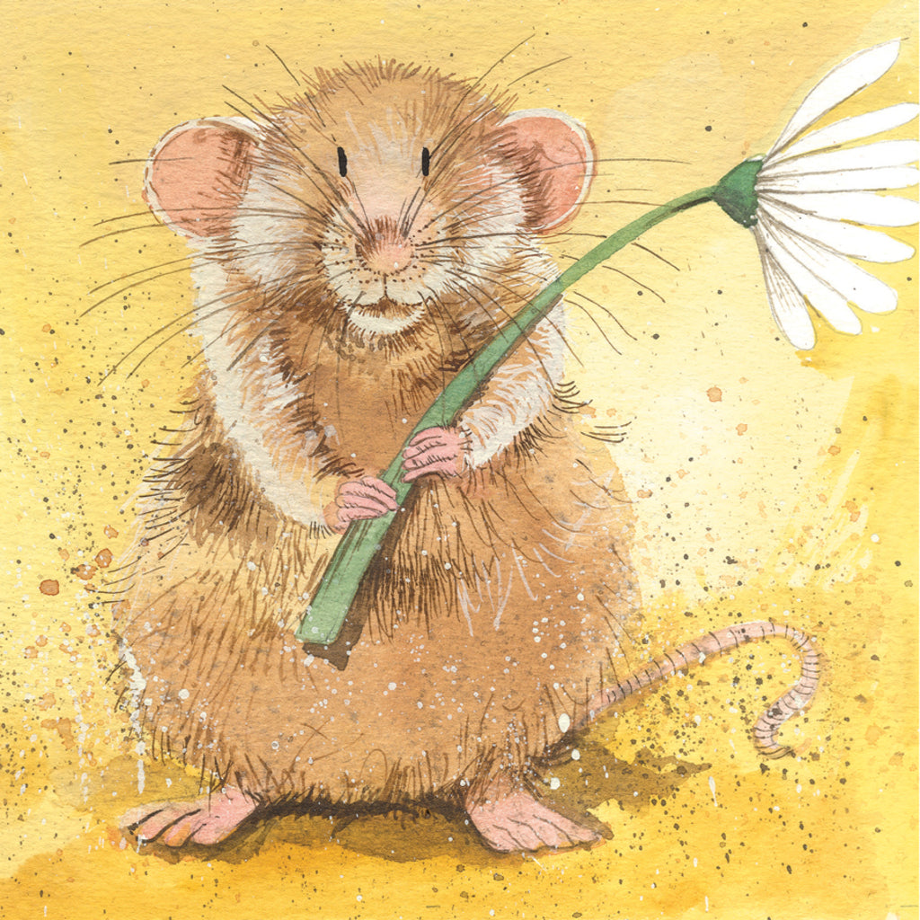 MALCOLM BLANK CARD AC518