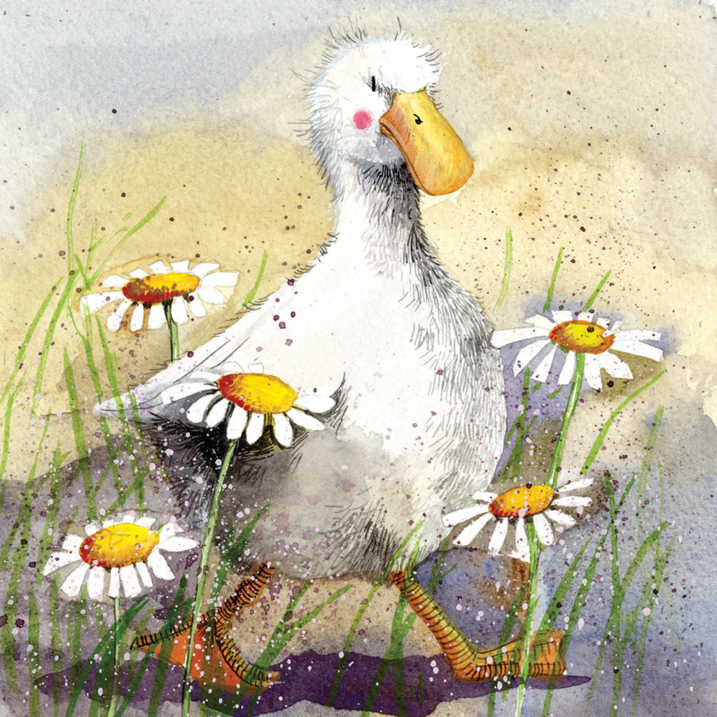 DUCK IN THE DAISIES BLANK CARD AC579