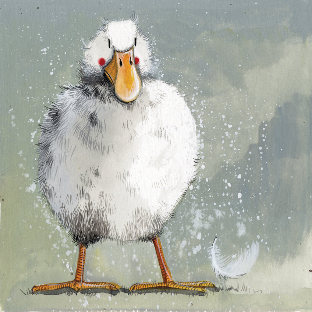 FEATHERS BLANK CARDS AC672