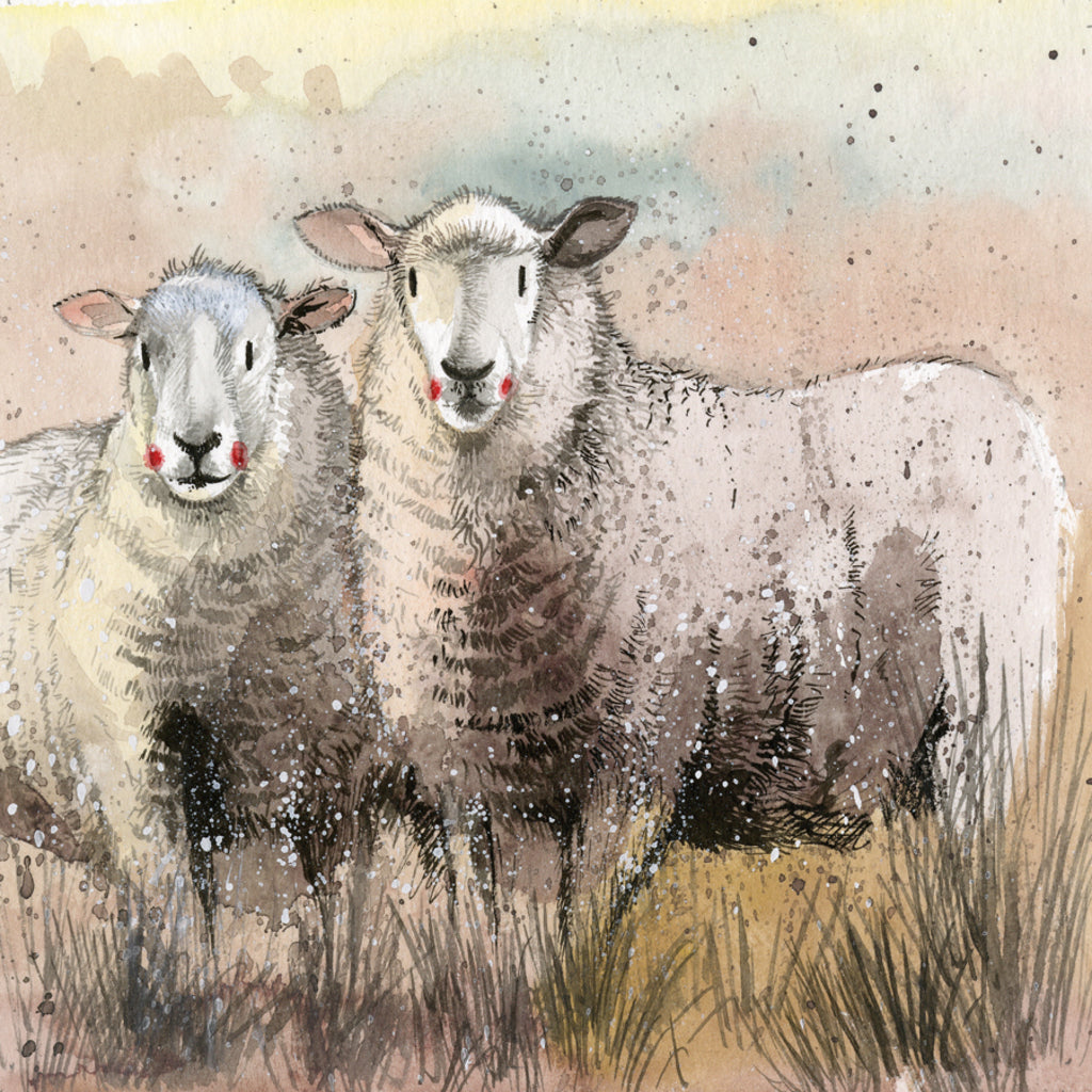 COMPANIONS BLANK CARDS AC677