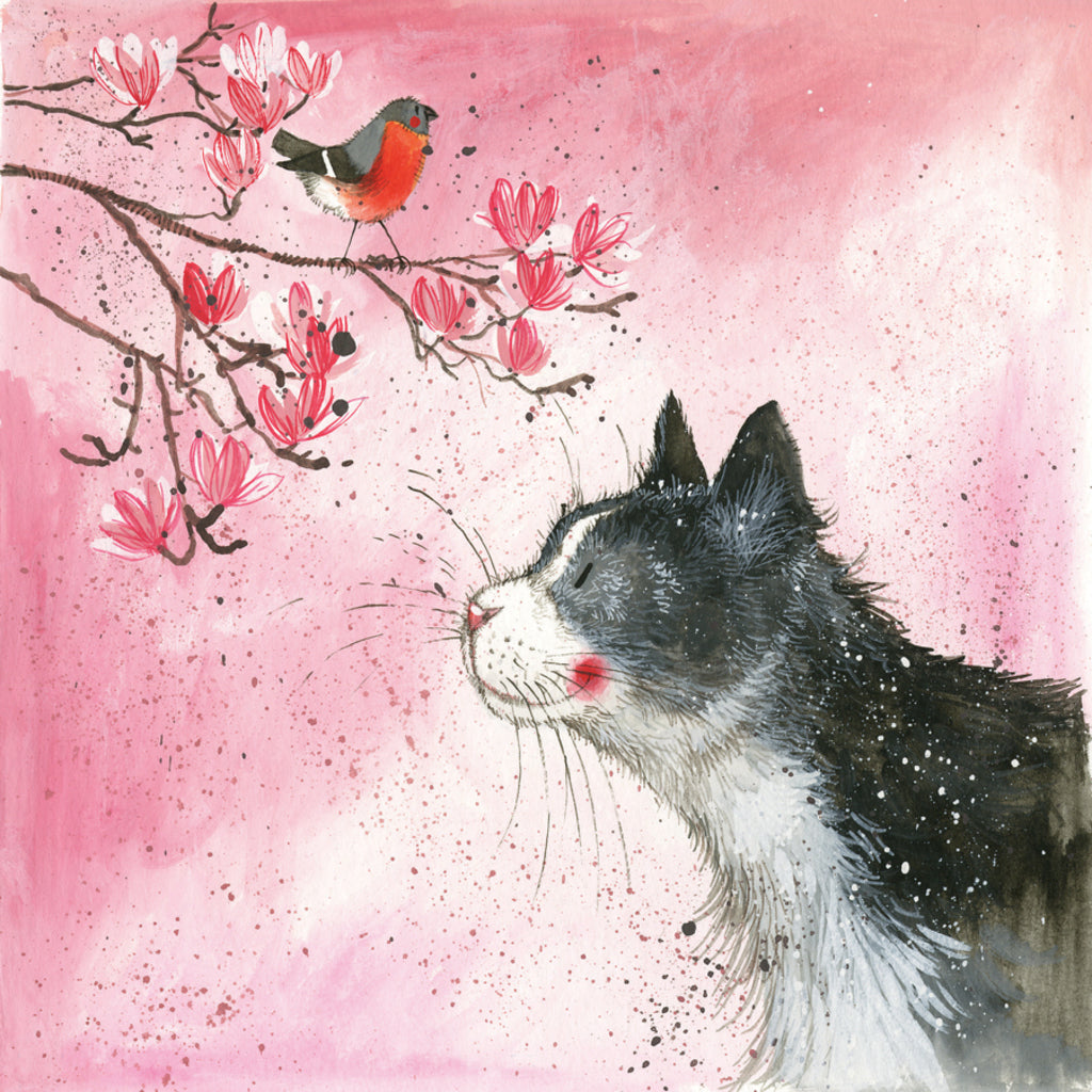 FELIX BLANK CARD AC695