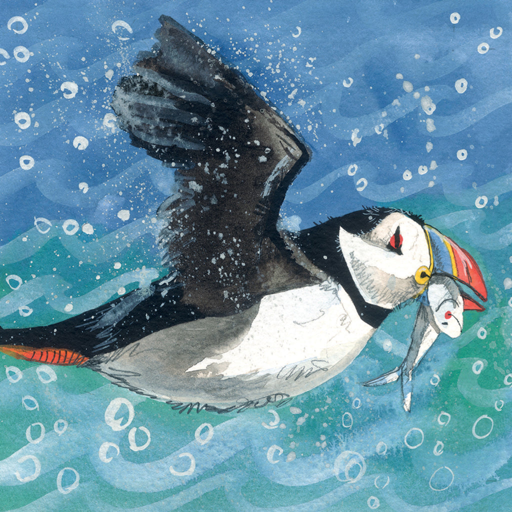 PUFFIN BLANK CARD AC699