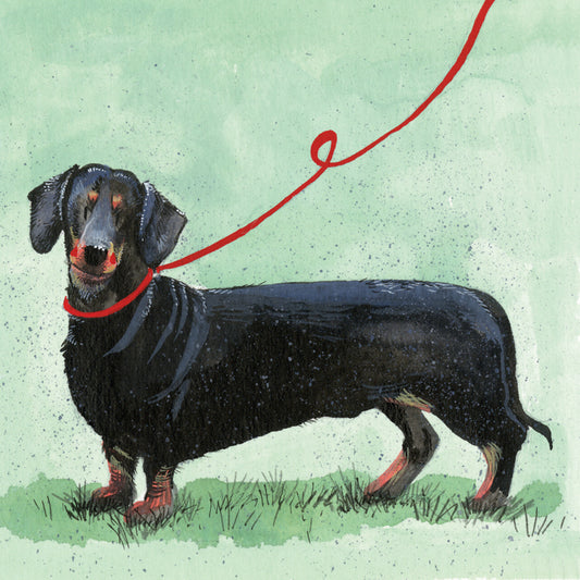 DACHSHUND BLANK CARD AC700