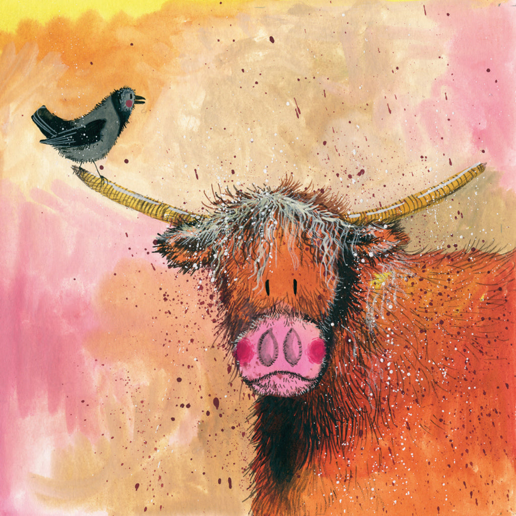 HIGHLAND COW BLANK CARD AC702