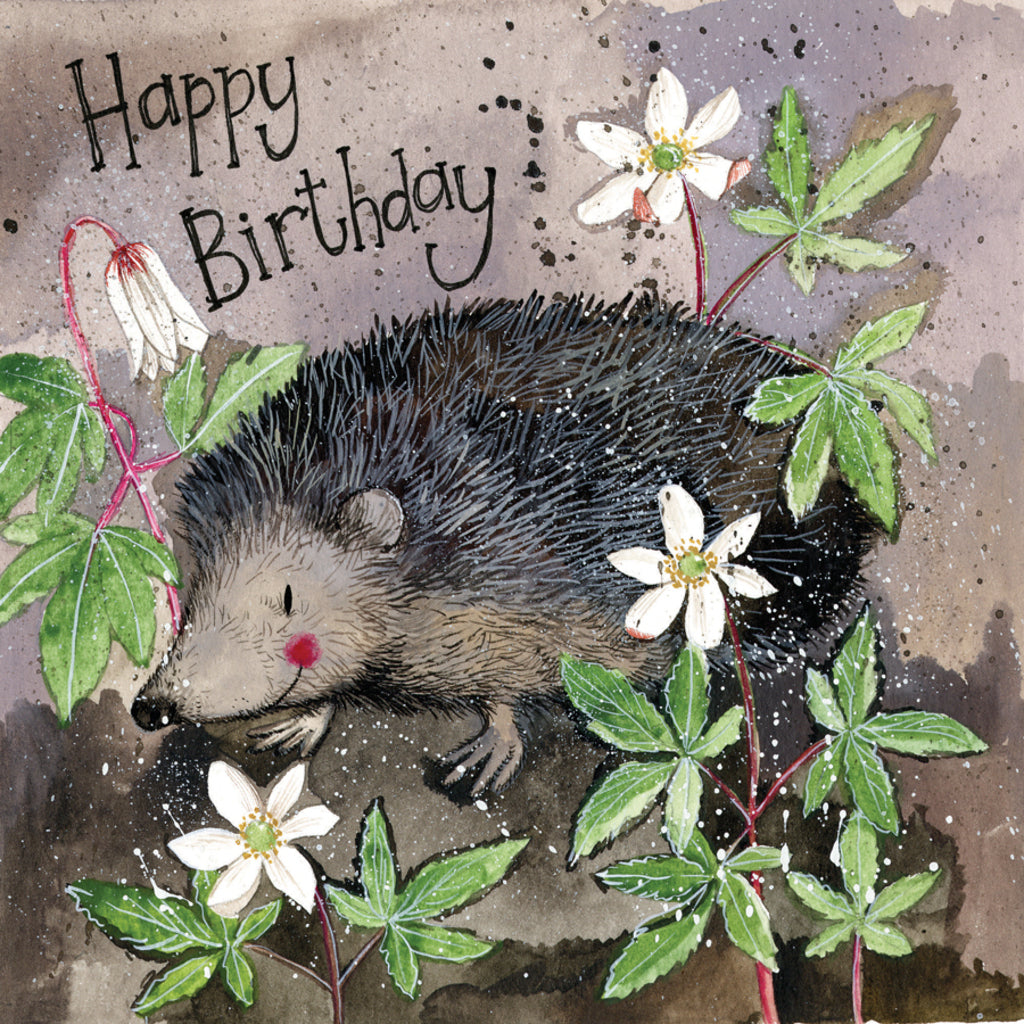 MR PRICKLY BIRTHDAY CARD AC734