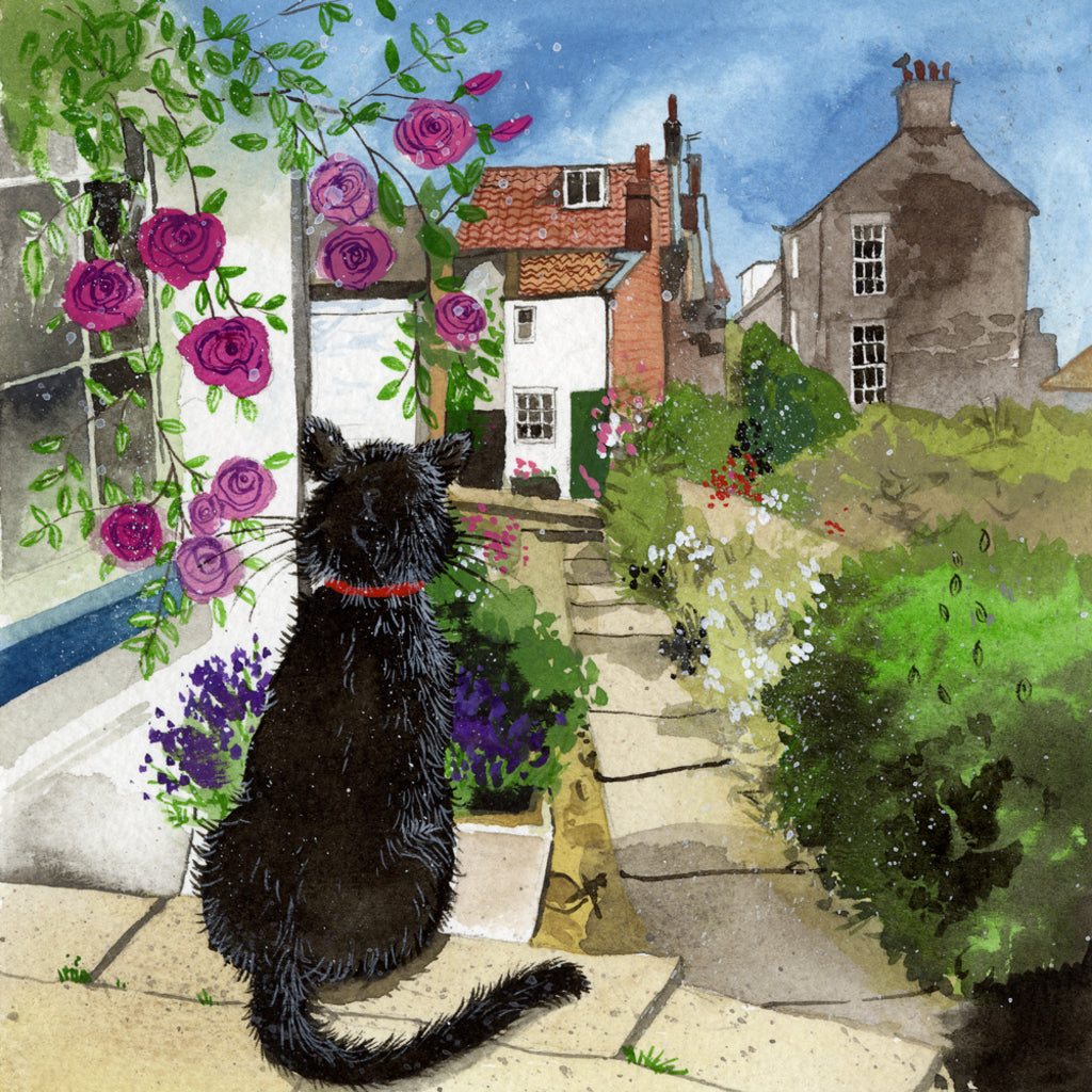 BACK STEP BLANK CARD AC739