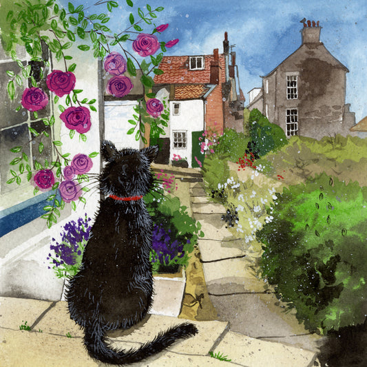 BACK STEP BLANK CARD AC739