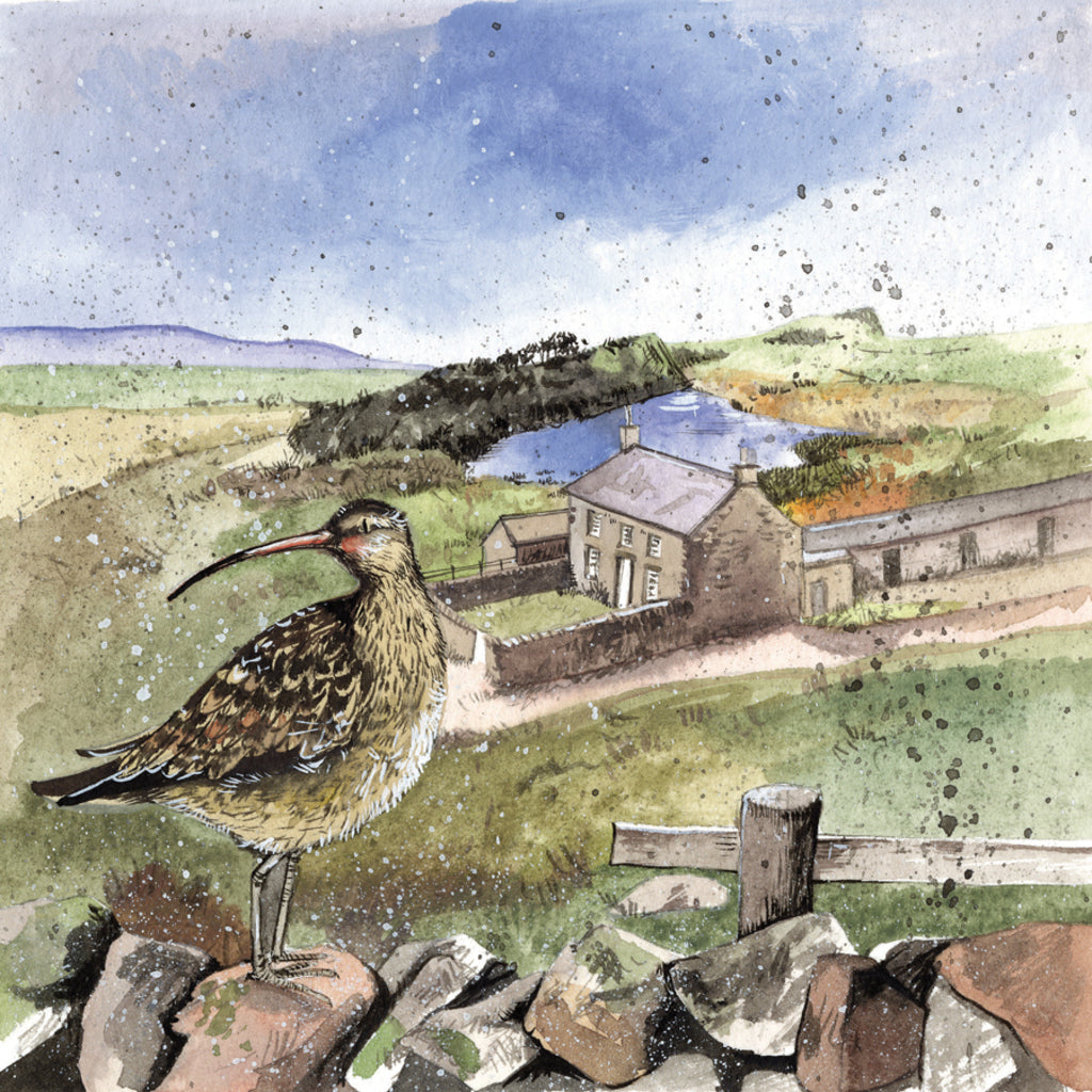 CURLEW'S REST BLANK CARD AC743