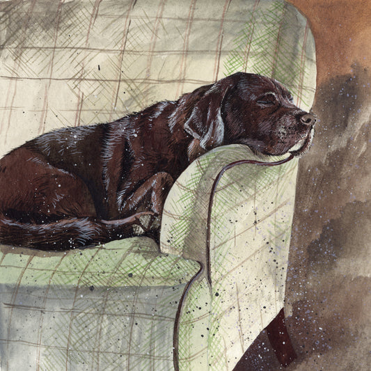 BUDDY BLANK CARD AC746