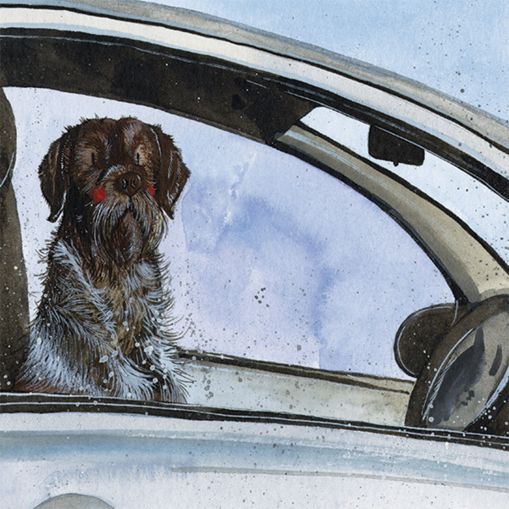 POINTER BLANK CARD AC756