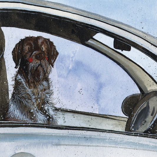 POINTER BLANK CARD AC756