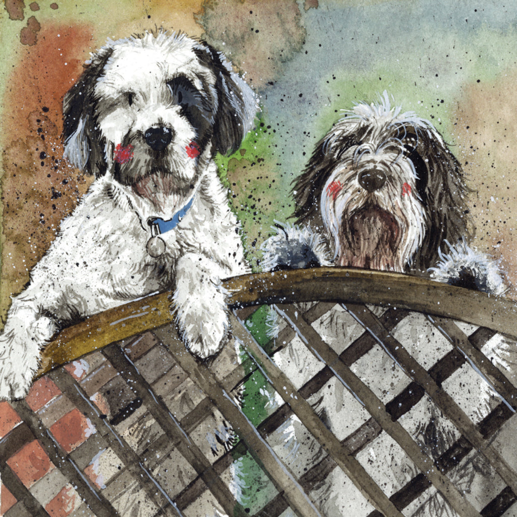 FENCE BLANK CARD AC793