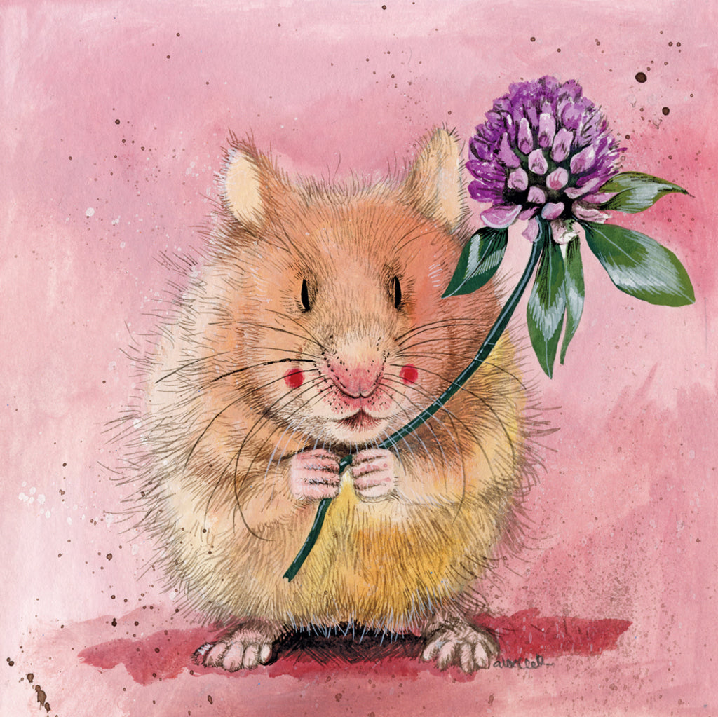 HERBERT BLANK CARD AC803