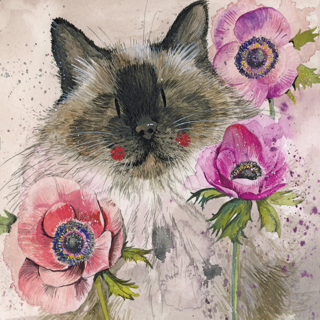 CAT IN THE ANENOMES BLANK CARD AC810