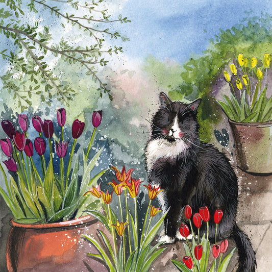 CAT AND TULIPS CARD AC851
