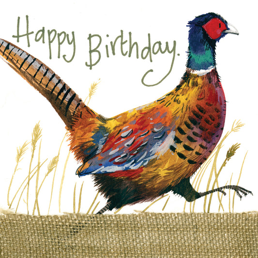 FUN AND GAME BIRTHDAY CARD S55