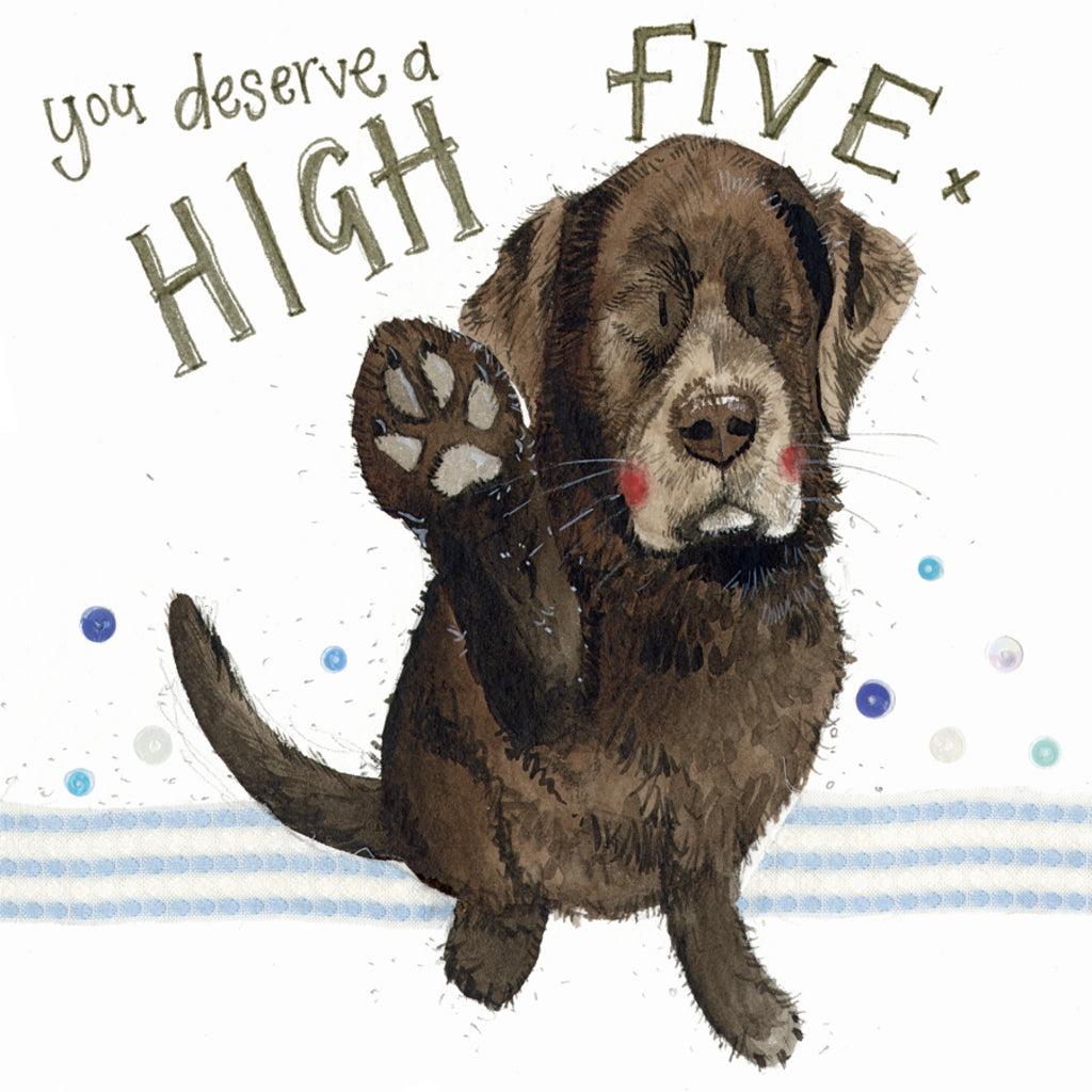 HIGH FIVE CARD S330