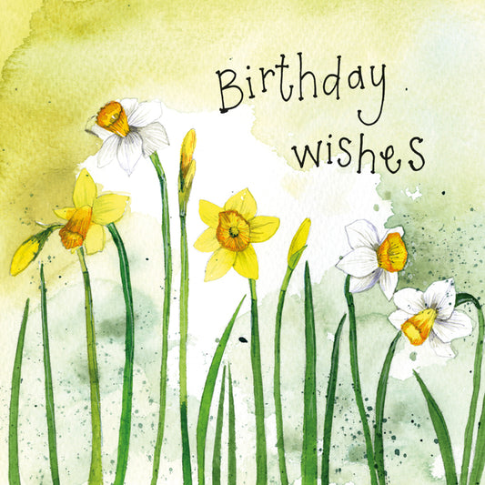 NARCISSI BIRTHDAY CARD S464