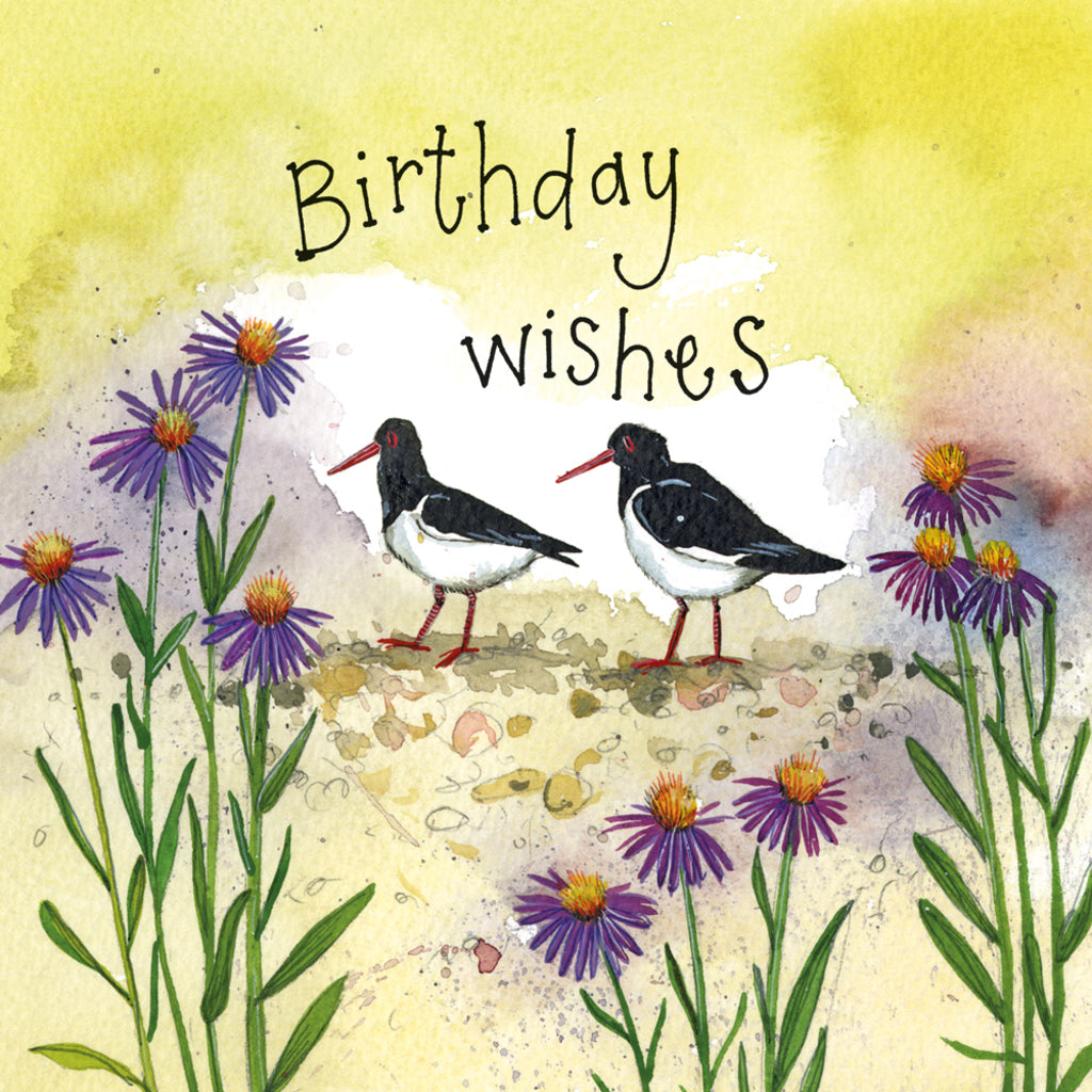 OYSTERCATCHER & SEA ASTER BIRTHDAY CARD S466