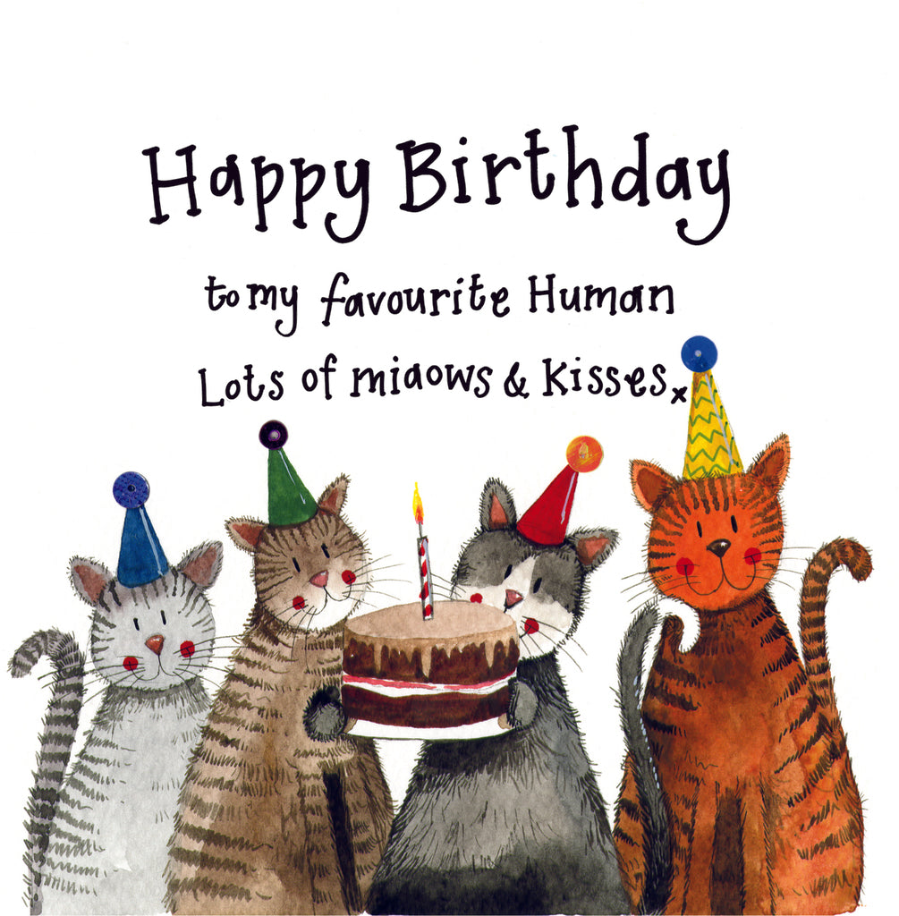 FROM THE CAT CARD S503