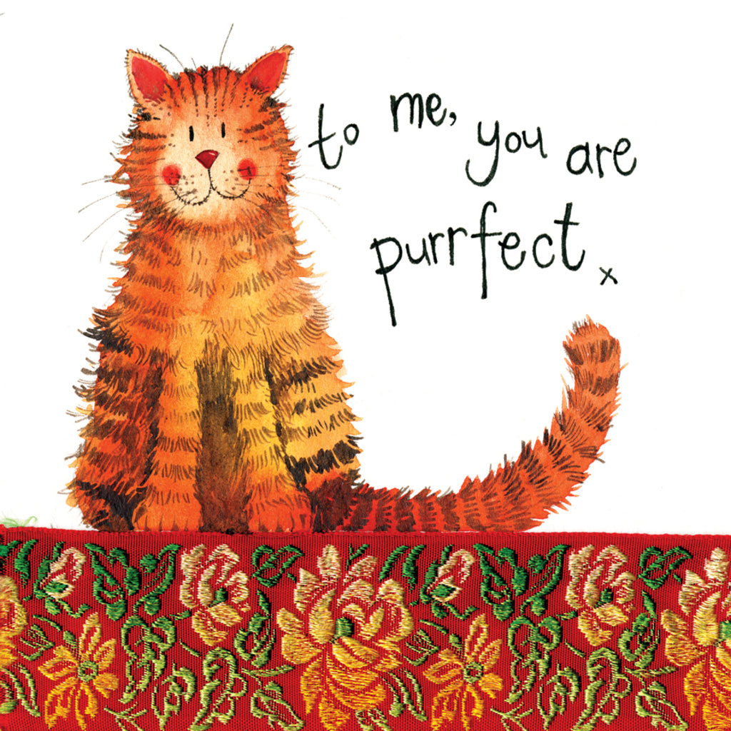 PURRFECT MISCELLANEOUS CARD LS98