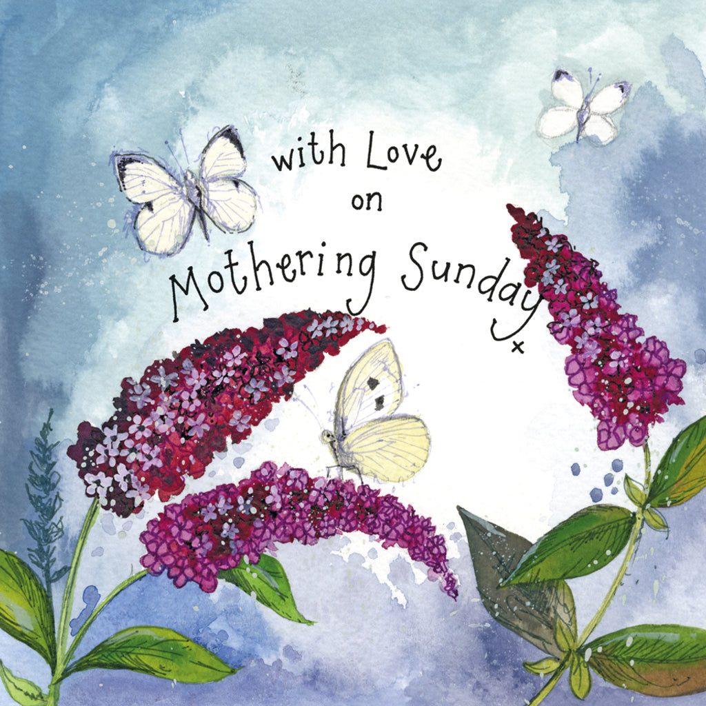 BUTTERFLIES & BUDDLEIA MOTHERS DAY SPRS41