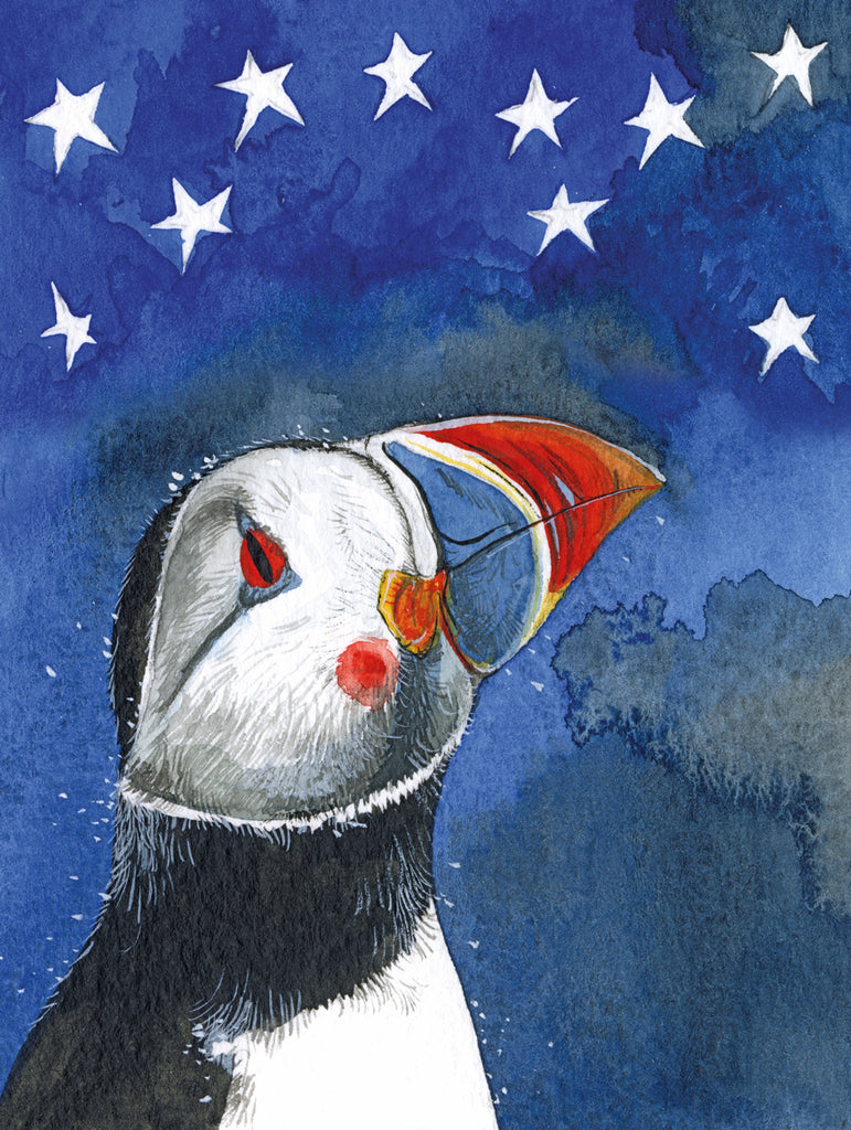 PUFFIN SMALL CHUNKY NOTEBOOK SCN28