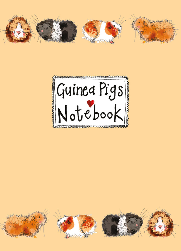 GORGEOUS GUINEA PIGS SOFT MEDIUM NOTEBOOK SNM13