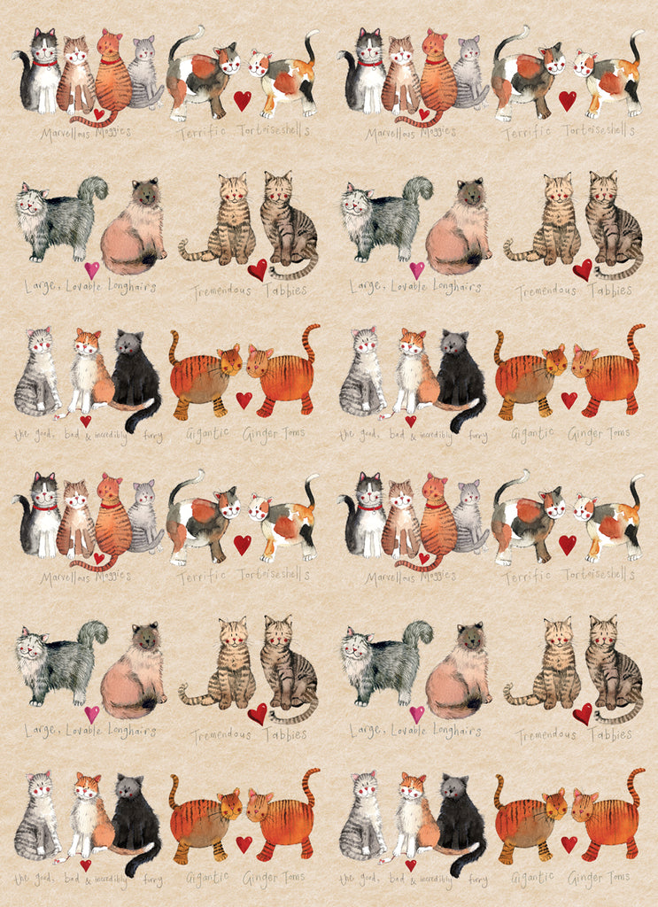CAT LARGE SOFT NOTEBOOK SNL02