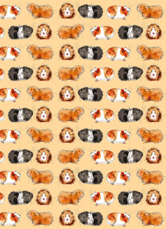 GORGEOUS GUINEA PIGS LARGE NOTEBOOK SNL13