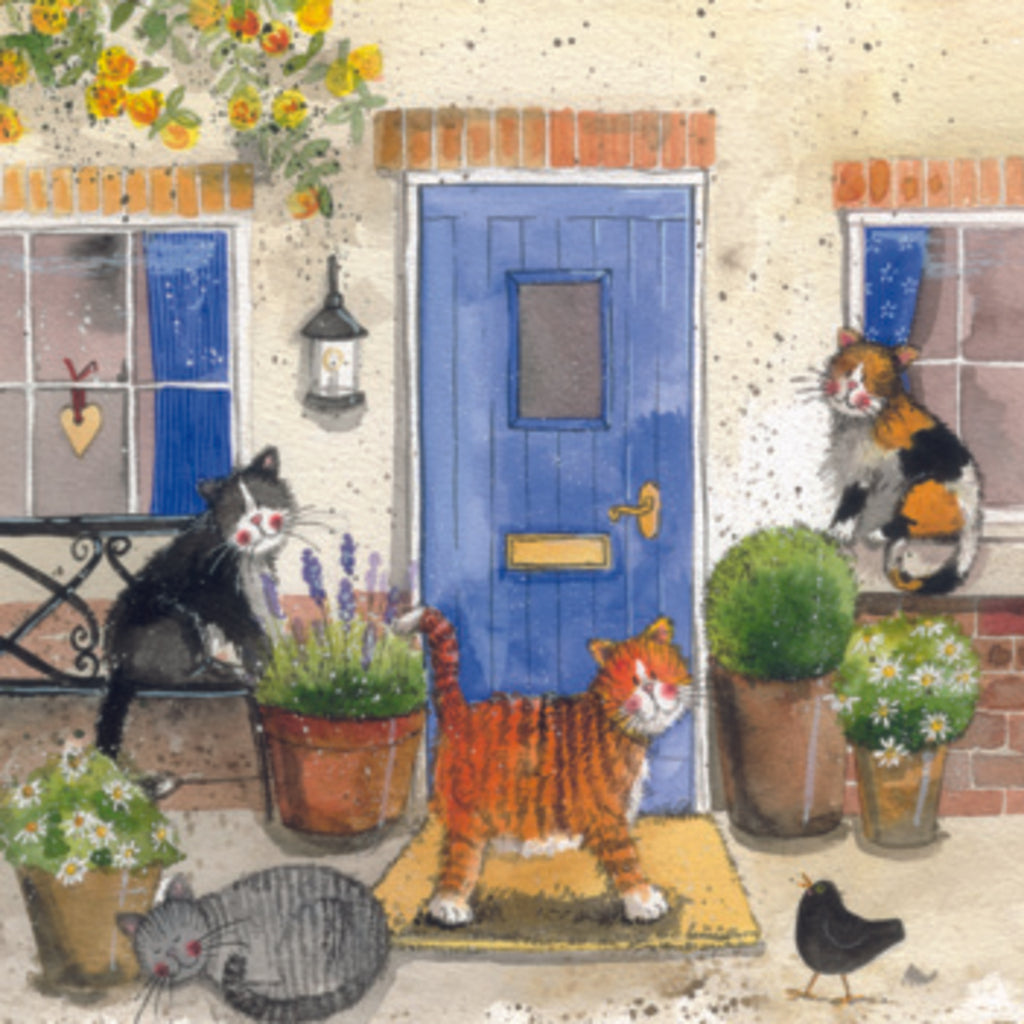 NEW CATS CHORUS COASTER C28