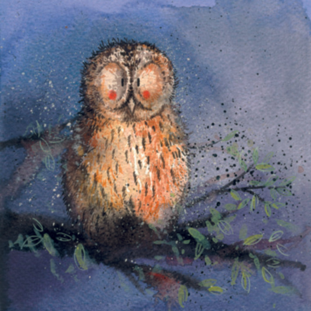 NIGHT OWL C50