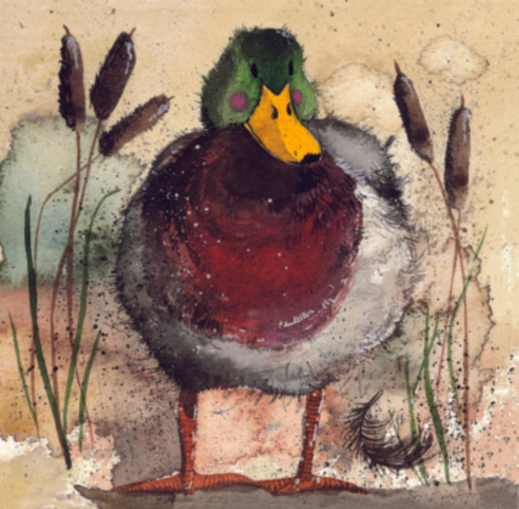 MALLARD C51