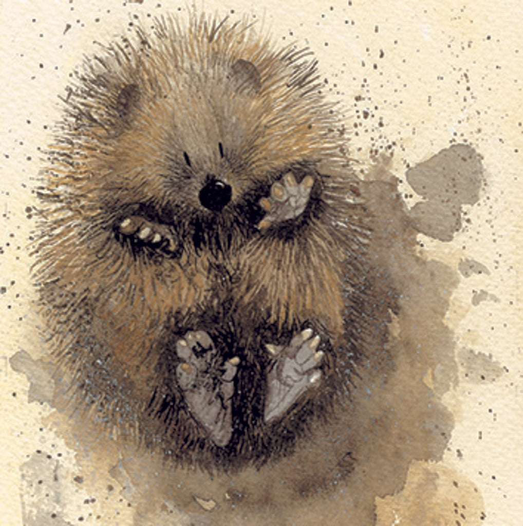 PRICKLES C52