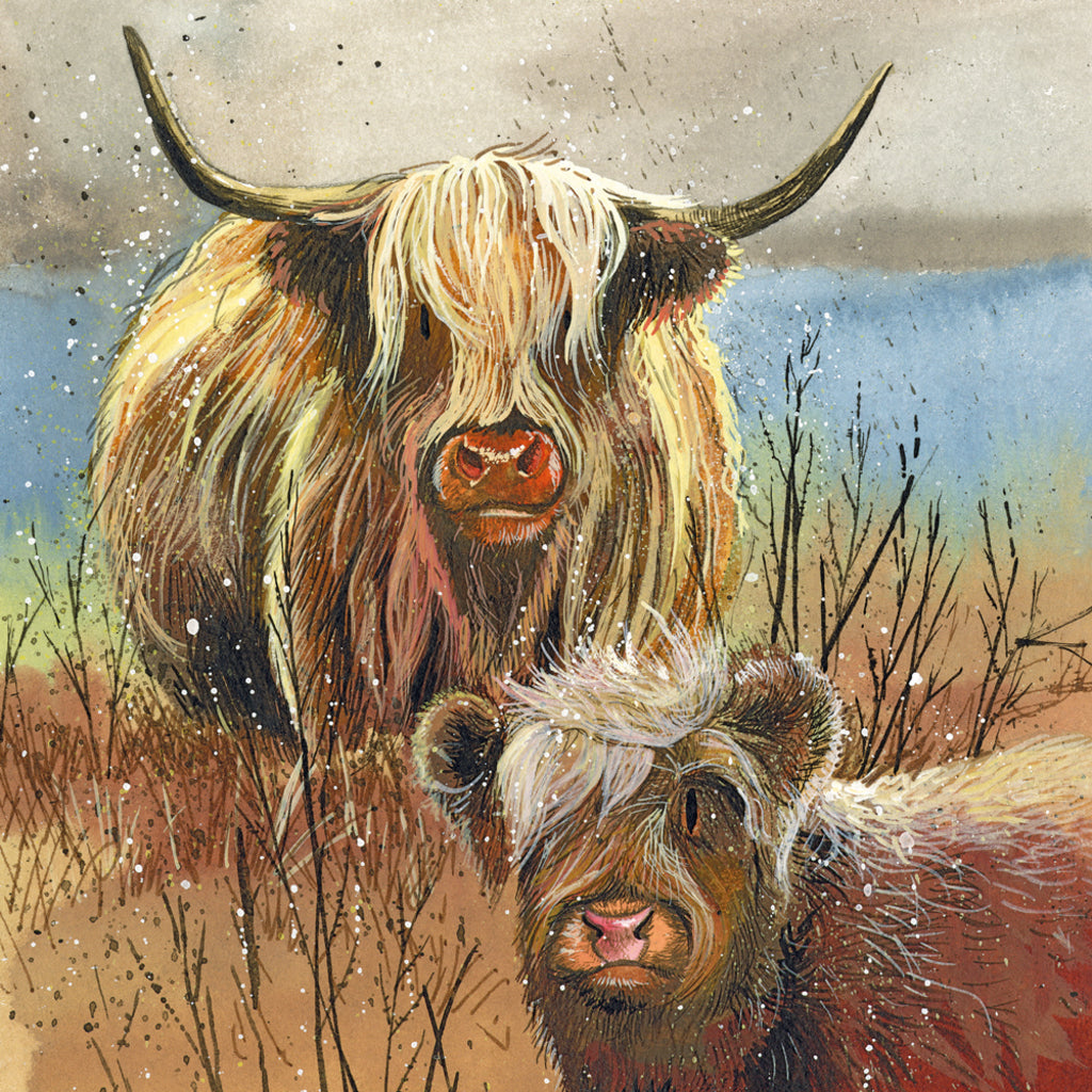 HIGHLAND COWS BLANK CARD AC858