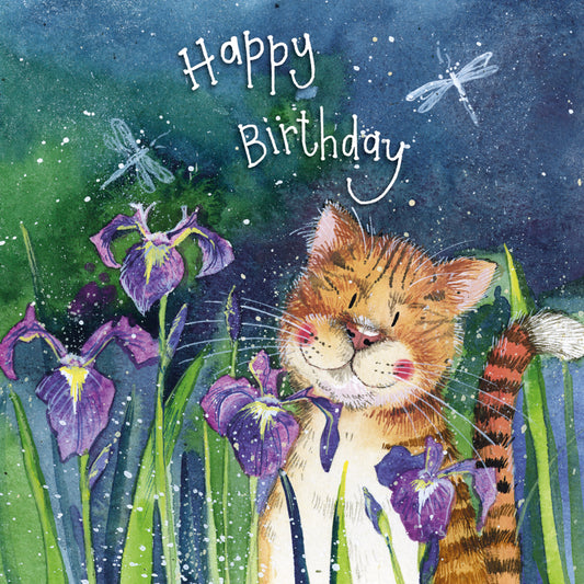 OUT AT NIGHT BIRTHDAY CARD AC868