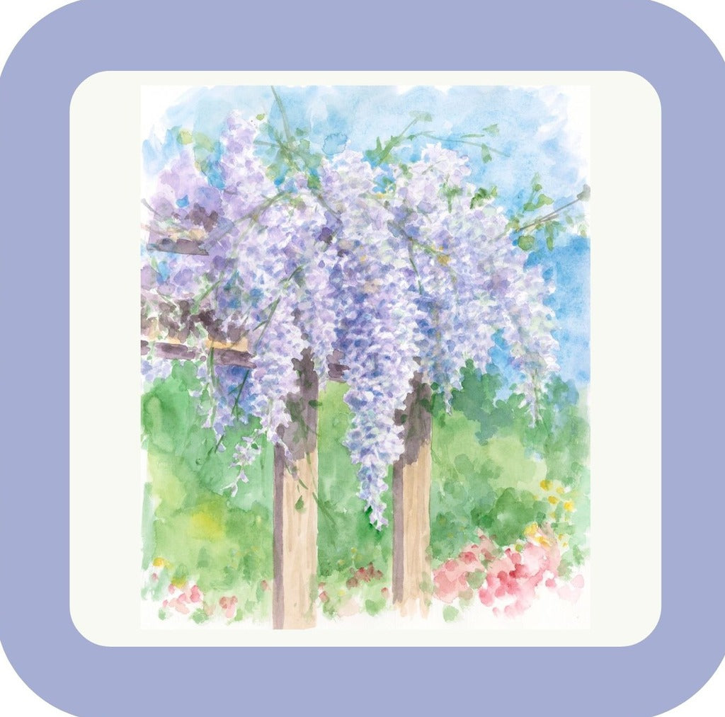 Carols Rose Garden Watercolor Lilac Arbor Flower Garden Drink Coaster 264912 2513 264912