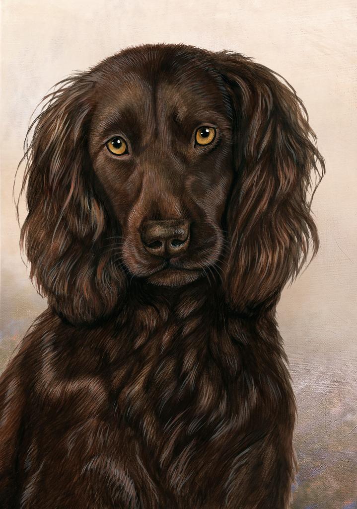 Boykin Spaniel Dog by Tamara Burnett Box of 10 Blank Note Cards 4x5 266562 1024-4x5