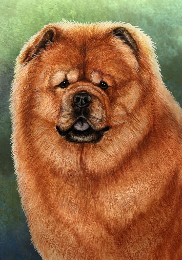 Chow Chow Dog by Tamara Burnett Box of 10 Blank Note Cards 4x5 266577 1041-4x5