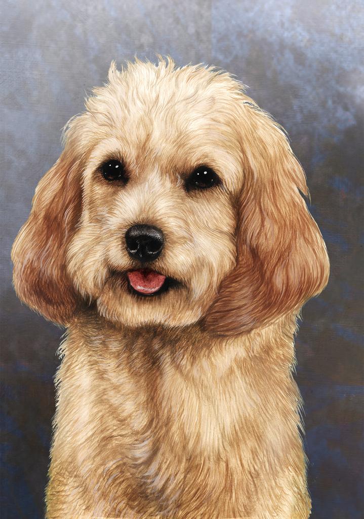 Cockapoo Dog by Tamara Burnett Box of 10 Blank Note Cards 4x5 266578 1038-4x5