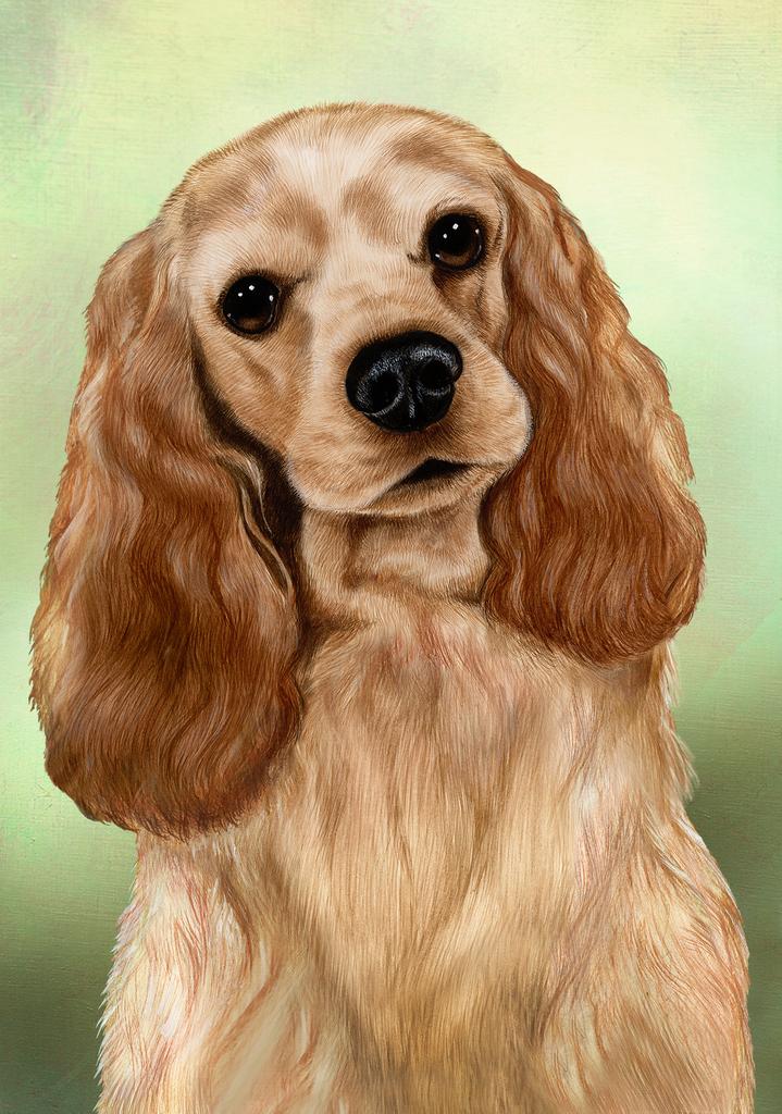 Cocker Spaniel Dog by Tamara Burnett Box of 10 Blank Note Cards 4x5 266579 1040-4x5