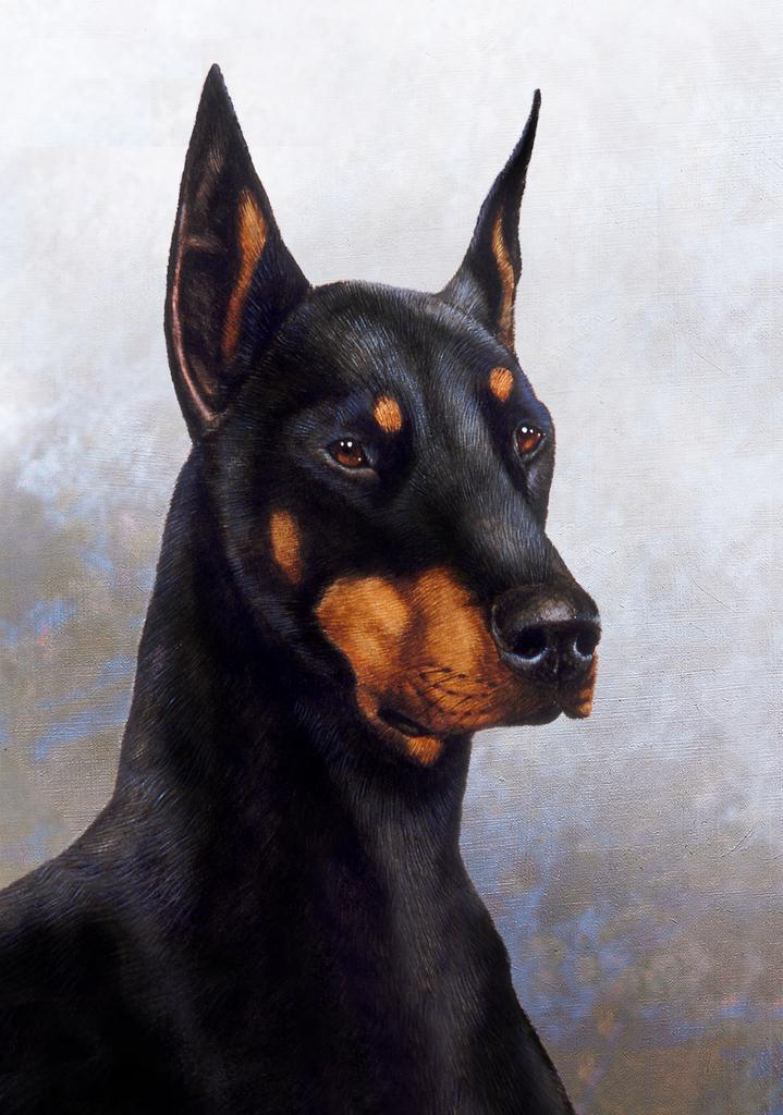 Doberman Pinscher Dog by Tamara Burnett Box of 10 Blank Note Cards 4x5 266585 1047-4x5