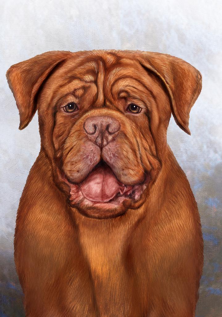 Douge De Bordeaux Dog by Tamara Burnett Box of 10 Blank Note Cards 4x5 266587 1048-4x5