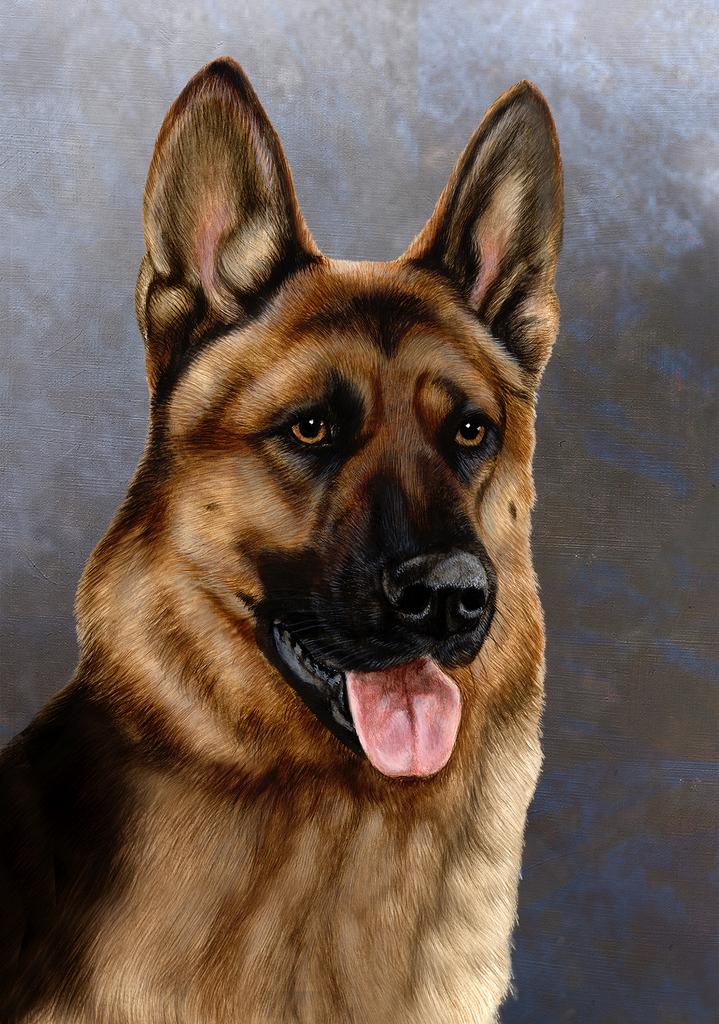 German Shepherd Dog by Tamara Burnett Box of 10 Blank Note Cards 4x5 266591 1053-4x5