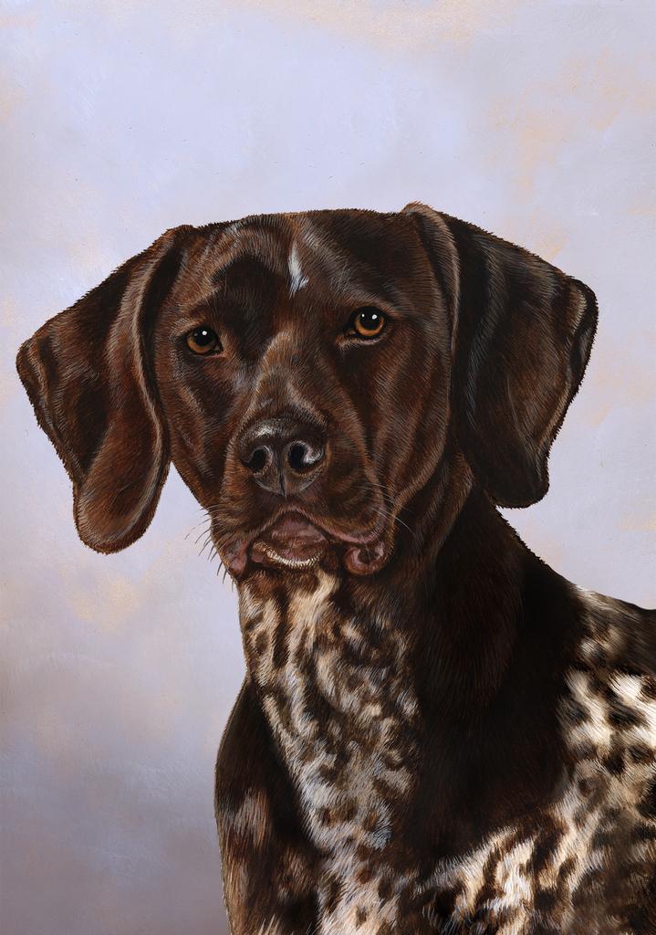 German Shorthaired Pointer Dog by Tamara Burnett Box of 10 Blank Note Cards 4x5 266592 1052-4x5