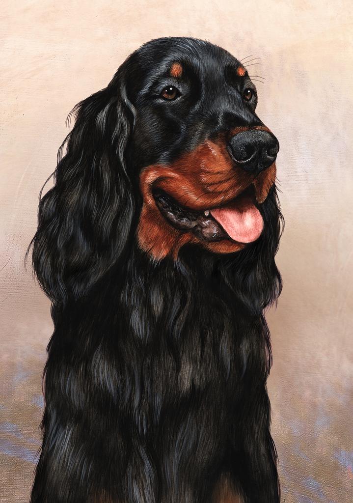 Gordon Setter Dog by Tamara Burnett Box of 10 Blank Note Cards 4x5 266595 1055-4x5