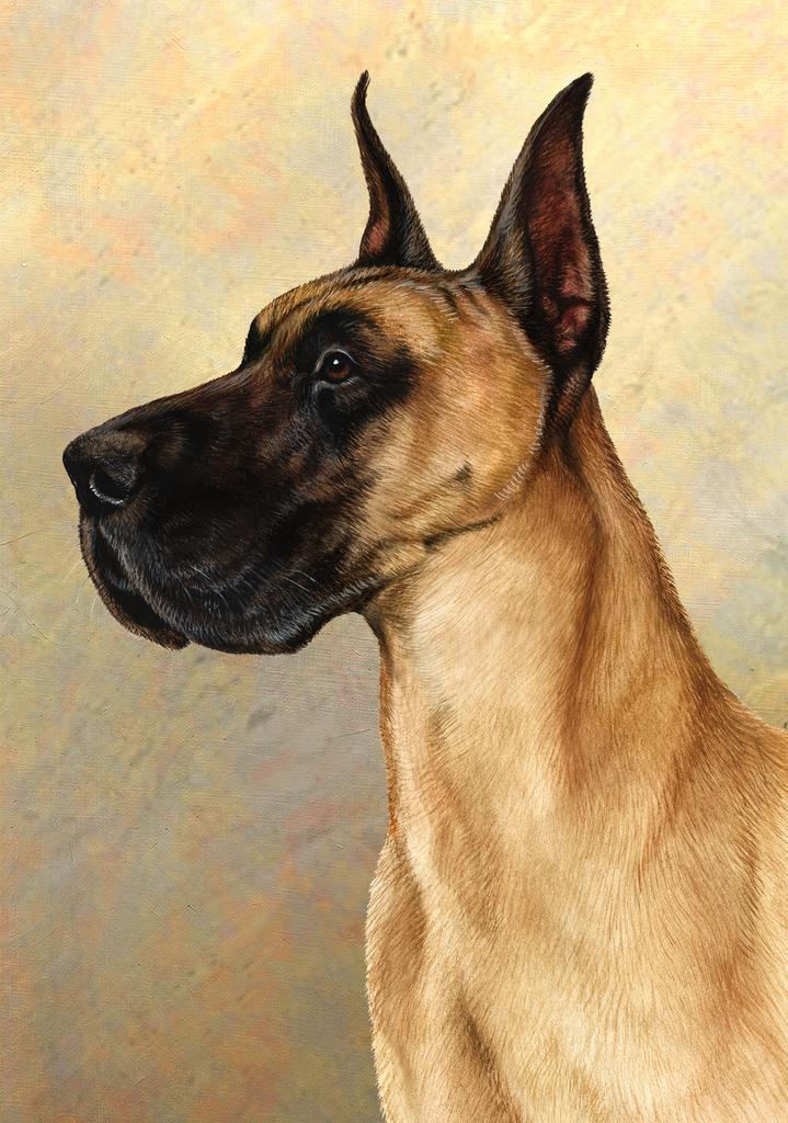 Great Dane Dog by Tamara Burnett Box of 10 Blank Note Cards 4x5 266596 1058-4x5