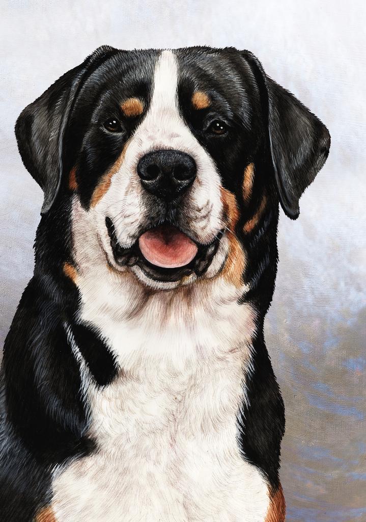 Greater Swiss Mountain Dog by Tamara Burnett Box of 10 Blank Note Cards 4x5 266598 1059-4x5